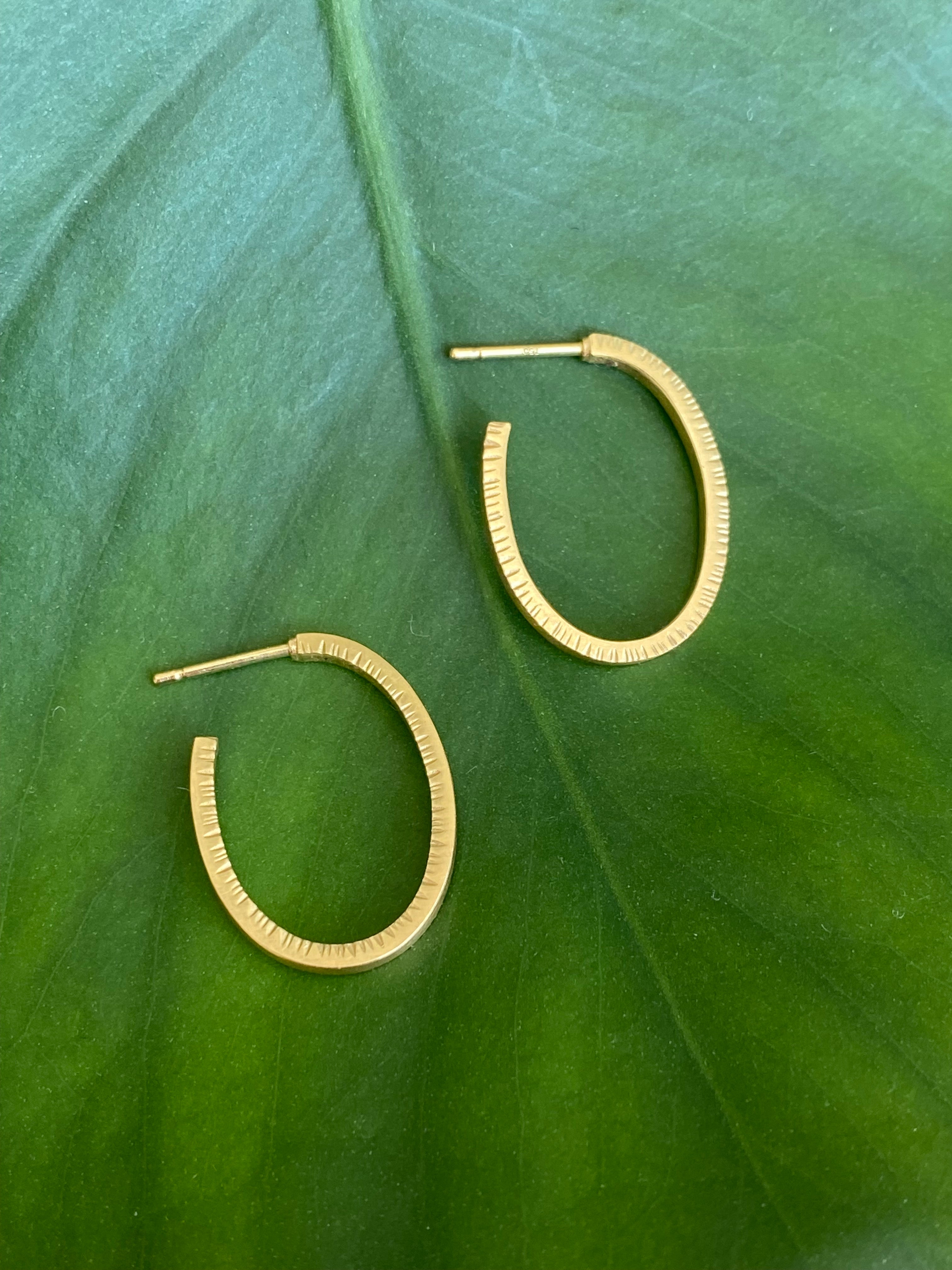 Sam Woehrmann- Oval Notched Hoop Earrings