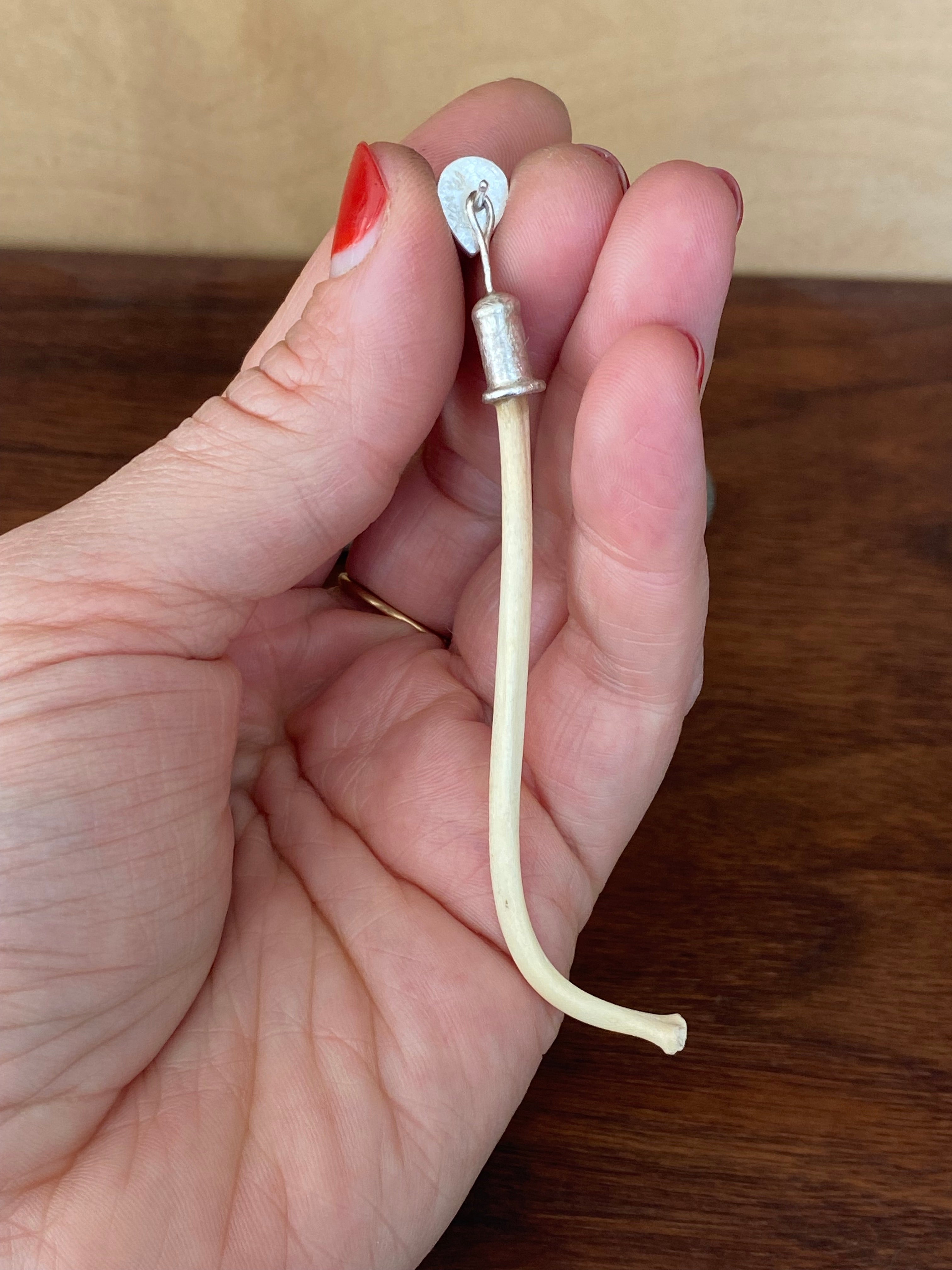 M. Rose Studio- Rutilated Quartz with Raccoon Baculum Jacket Earrings
