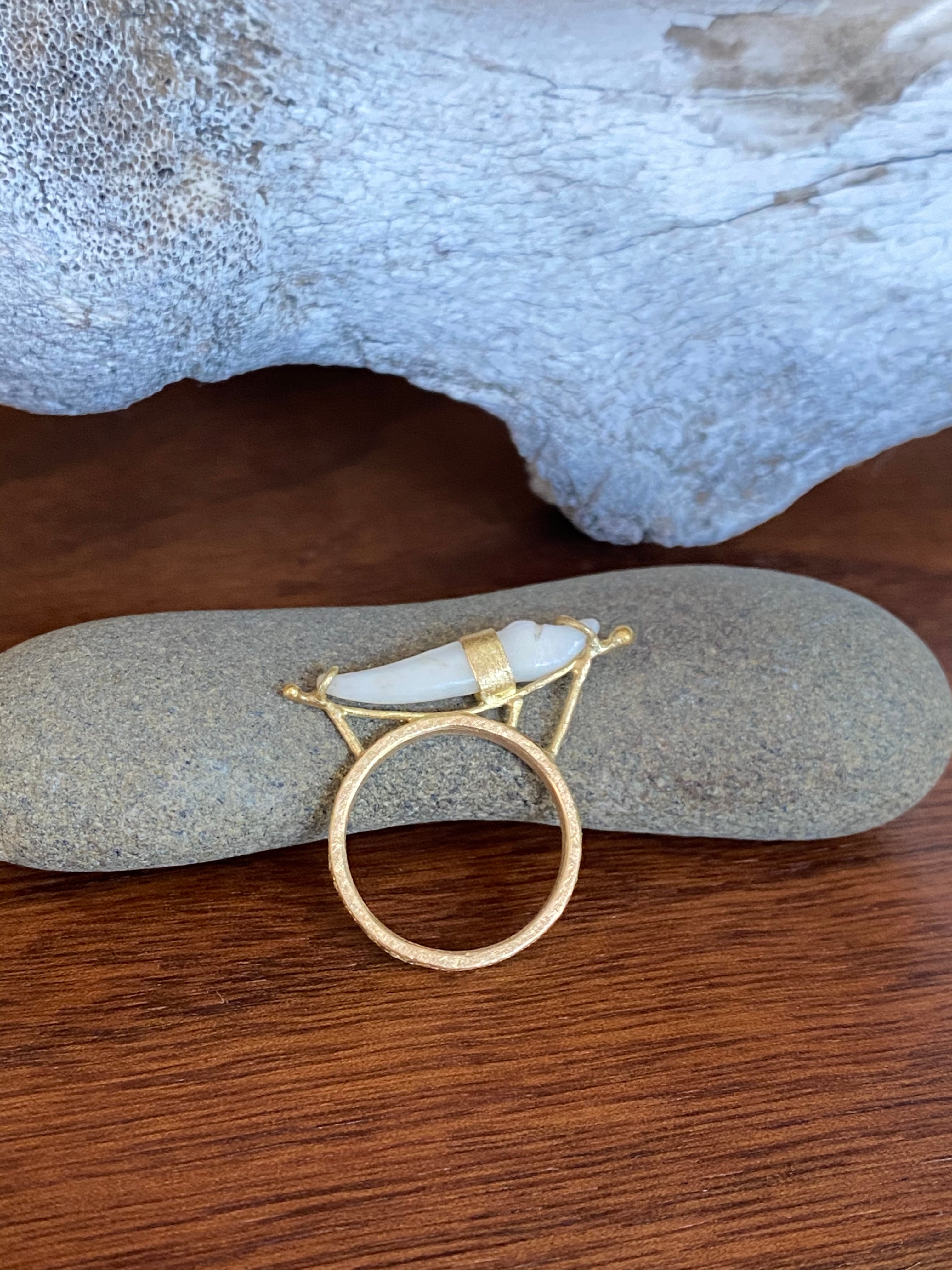 M. Rose Studio- Reclined Carnivore Ring