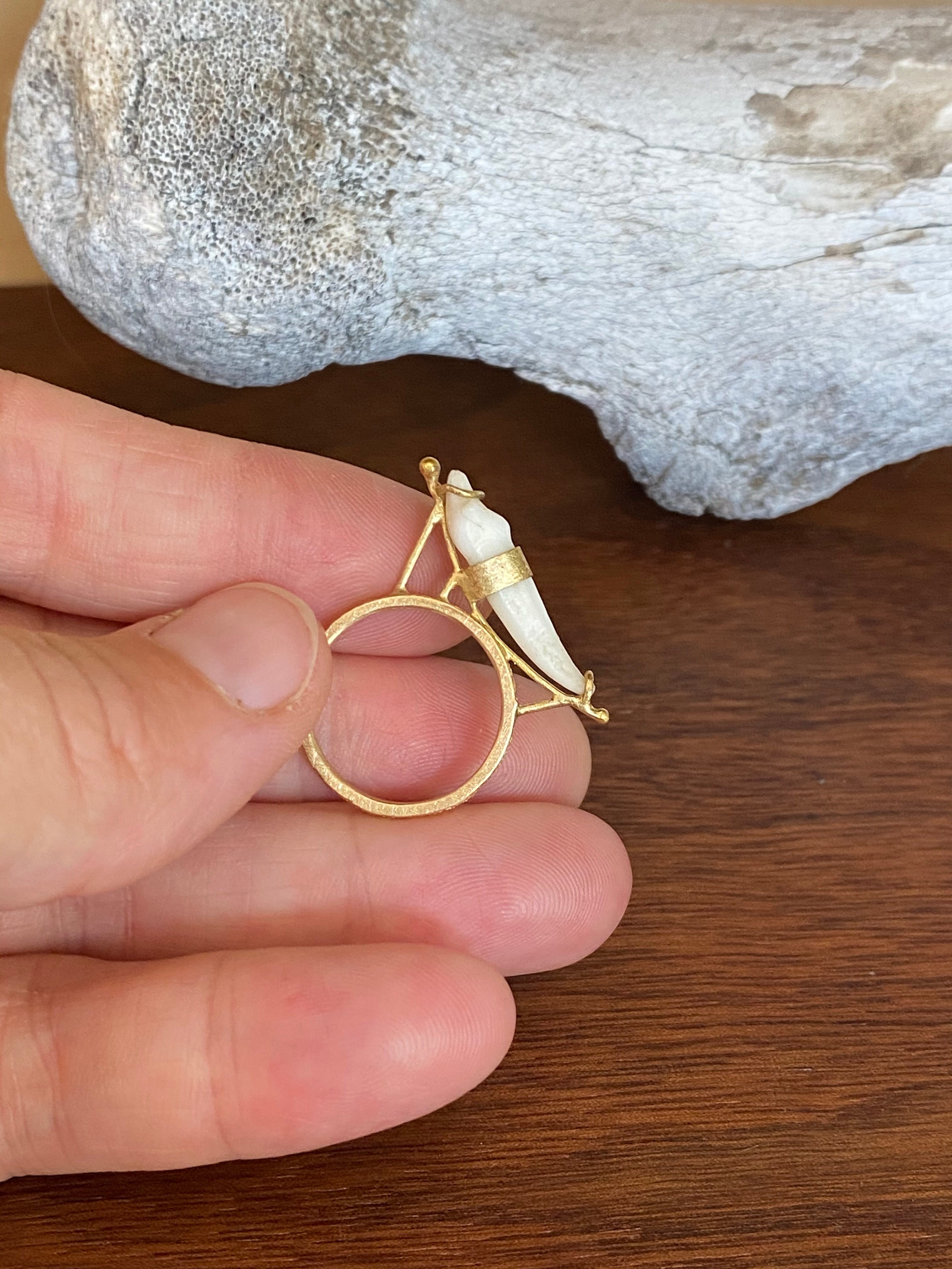M. Rose Studio- Reclined Carnivore Tooth Ring