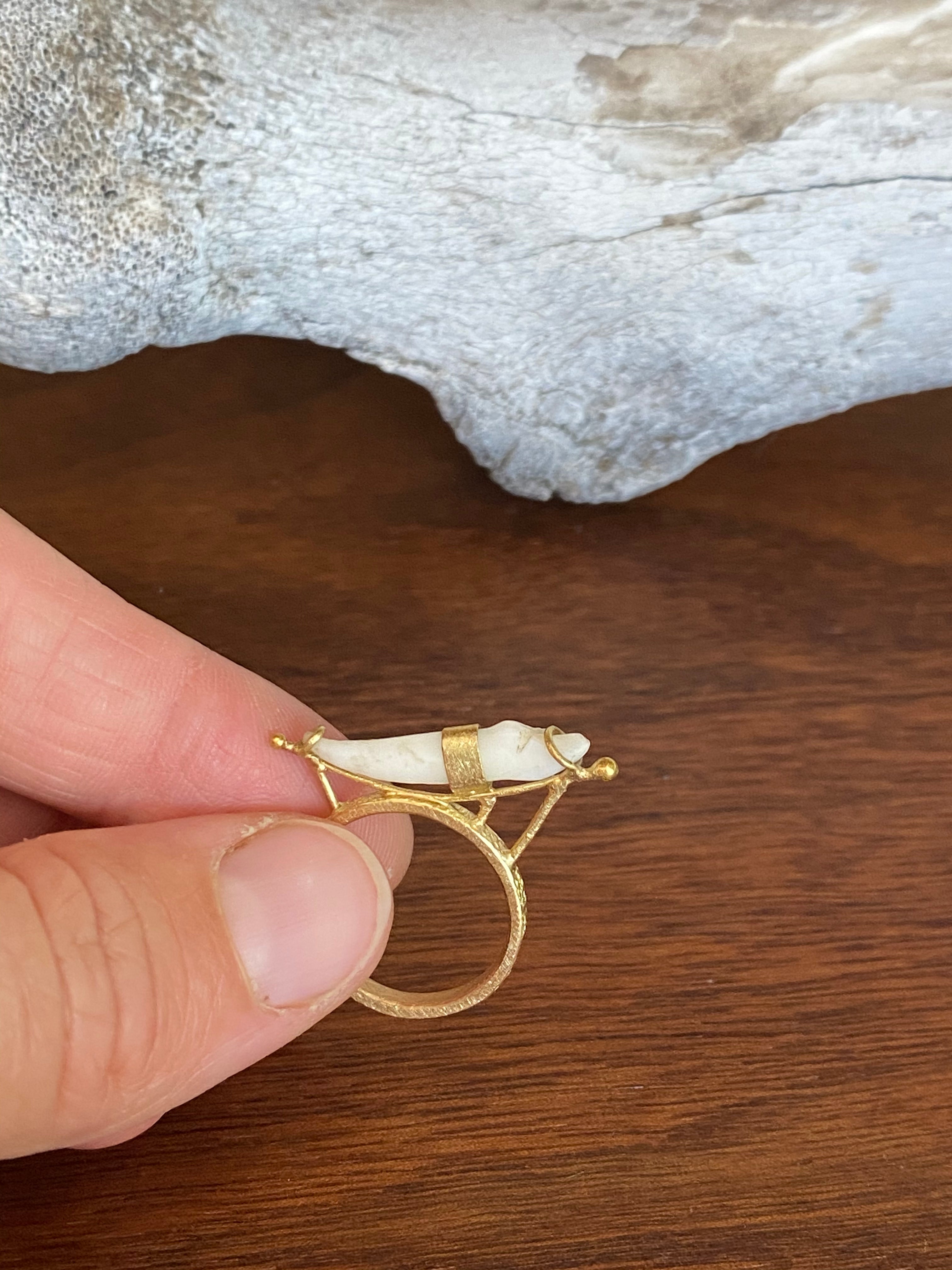 M. Rose Studio- Reclined Carnivore Tooth Ring